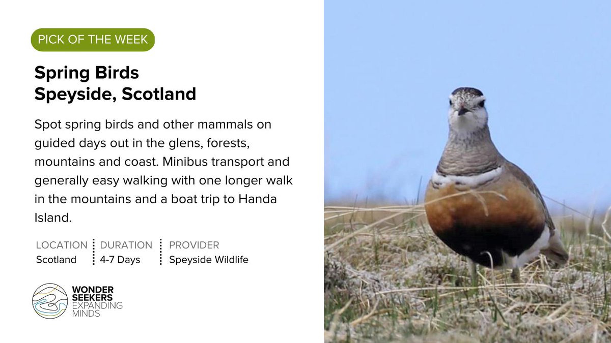 wonderseekers's tweet photo. ⭐️ Our pick of the week for #sciencetourism!
🚩Find out more at https://t.co/l3CVlxuUZG
#birds #birdspotting #speyside #springbirds #birdsofscotland #VisitScotland #Dotterel #glebe #divers
@SpeyWildlife https://t.co/GSNNhe26wu