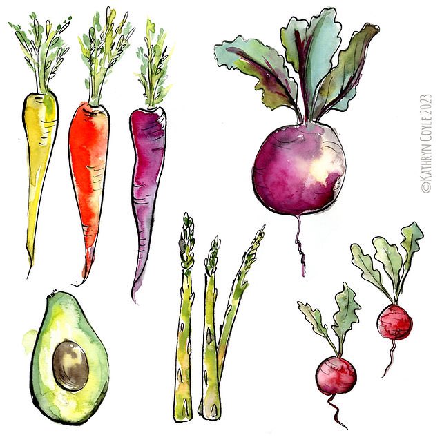 littleredboot's tweet photo. Vegetables painted in ink and watercolour wash, this style is great fun. To see more of my ink and wash work i’ve just updated my website   https://t.co/Ann1uHc99U https://t.co/FnOzJG218q