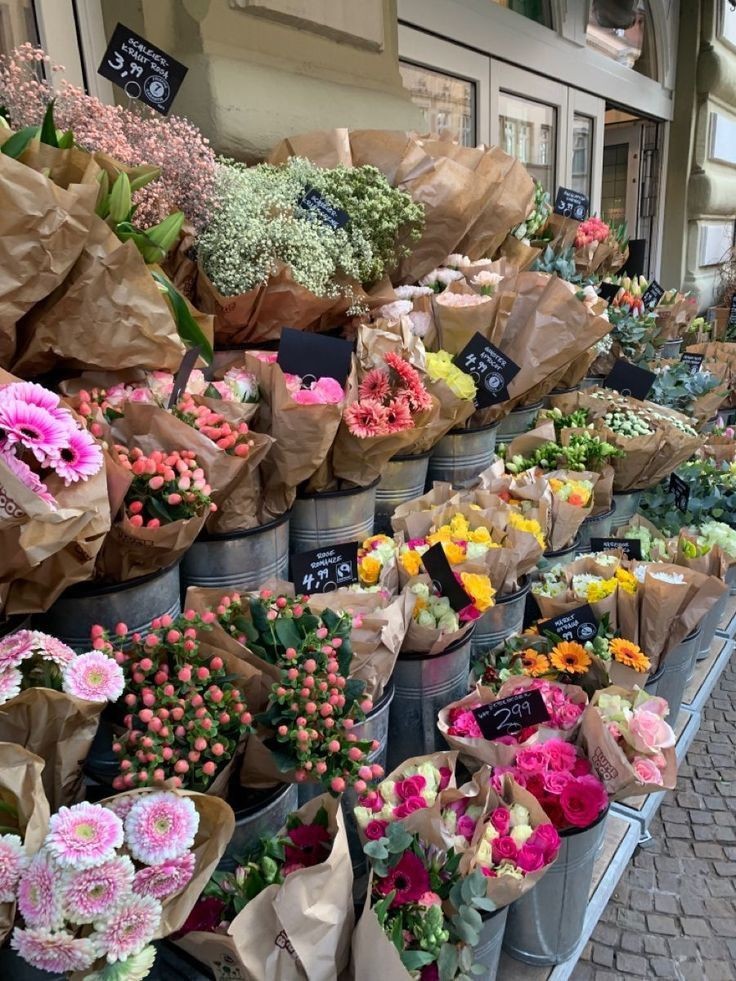 ͏ ͏͏ ͏𐙚 tweet media