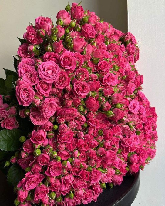giant bouquet