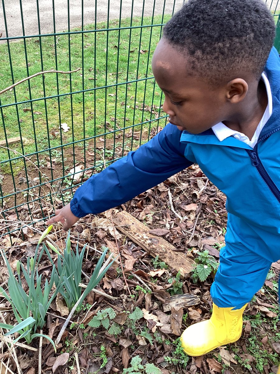 BriarHillSch's tweet image. Reception were extremely excited to discover so many mini beasts today at woodland classroom. We love outdoor learning . #EYFS #outdoorlearning #EYFSscience