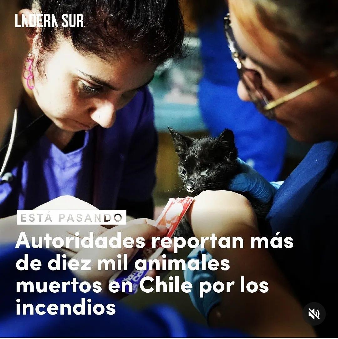 hugoguionista's tweet photo. https://t.co/qZE0DueEQ1