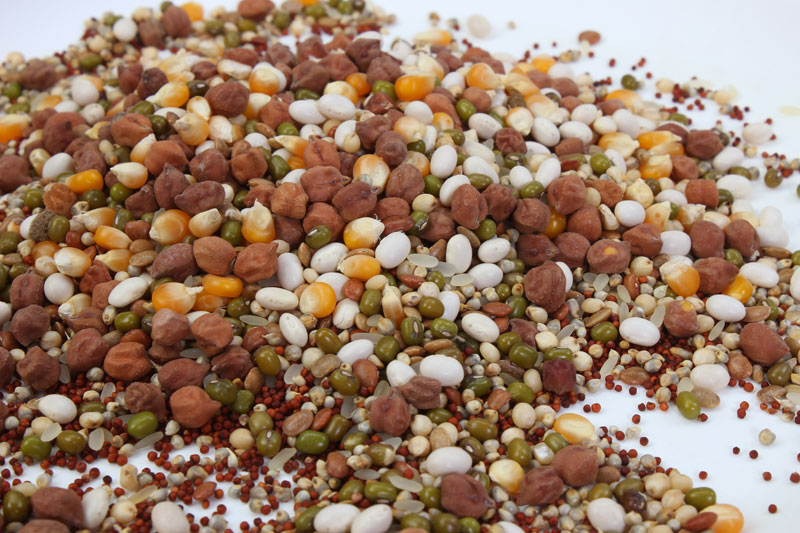 SportifyG's tweet image. There seems to be a wrong notion on #MULTIGRAIN.

#Myth: #Monograins are better than Multigrains w.r.t. health.

#Fact: Wrong multigrain will not improve health &amp;amp; not every monograin can give you #wholesome #nutrition.