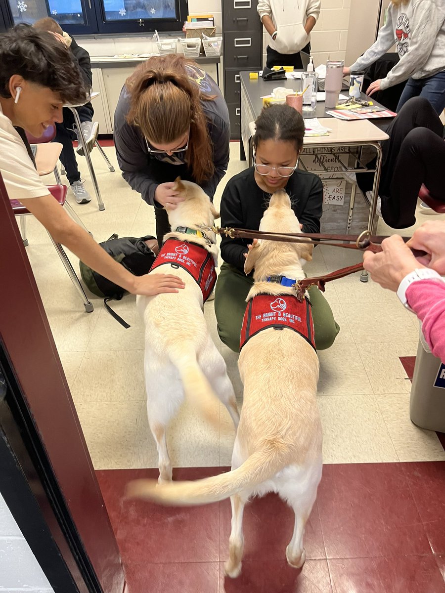 Pae_AllentownHS's tweet photo. AHS welcomed a visit from our therapy dogs last week.  Also, we recognized our Faculty Member of the Month, Mrs. Judi Pietrini-who along with being a valued staff member that cares for students-knows how to celebrate…Redbird Pride! https://t.co/LpyPDmF3DK