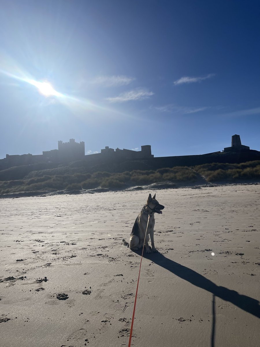 Beach day <a href="/neiljcuk/">Neil Creed</a>