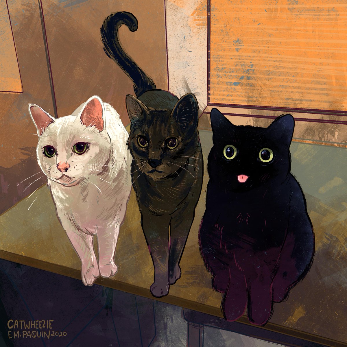 This is every reason why you should adopt a black cat