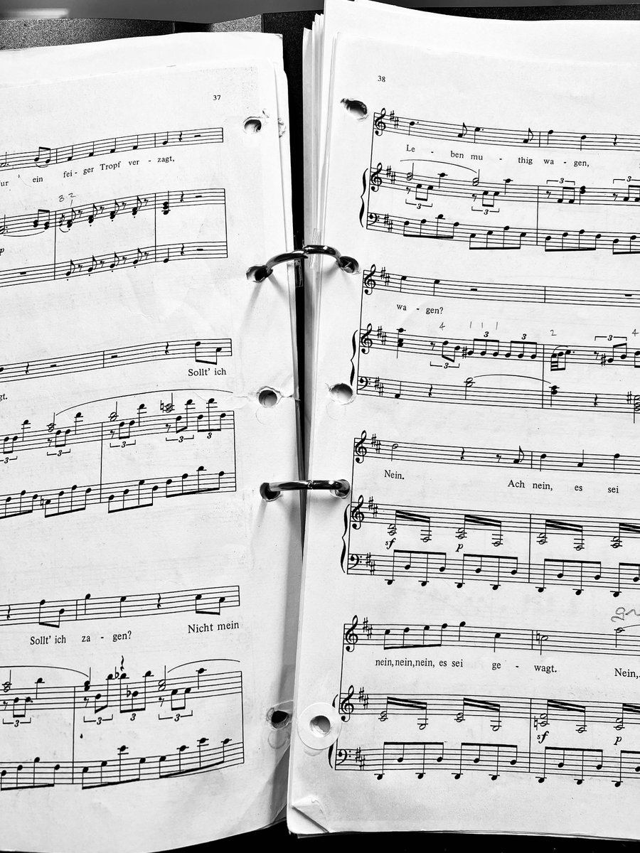 poegirl's tweet image. When you’re an American singer who has lived in Germany too long… #iykyk #auditiontime