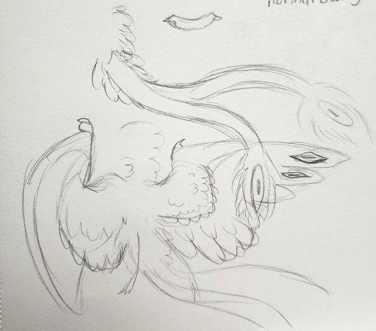 sadtrashking's tweet photo. Wow look a definitely normal owl creature who definitely won't blow shit up #art #drawing #tubbo #tubbofanart #starfellsmp #cometsmp what tag are we using? https://t.co/WtfBs99MCJ