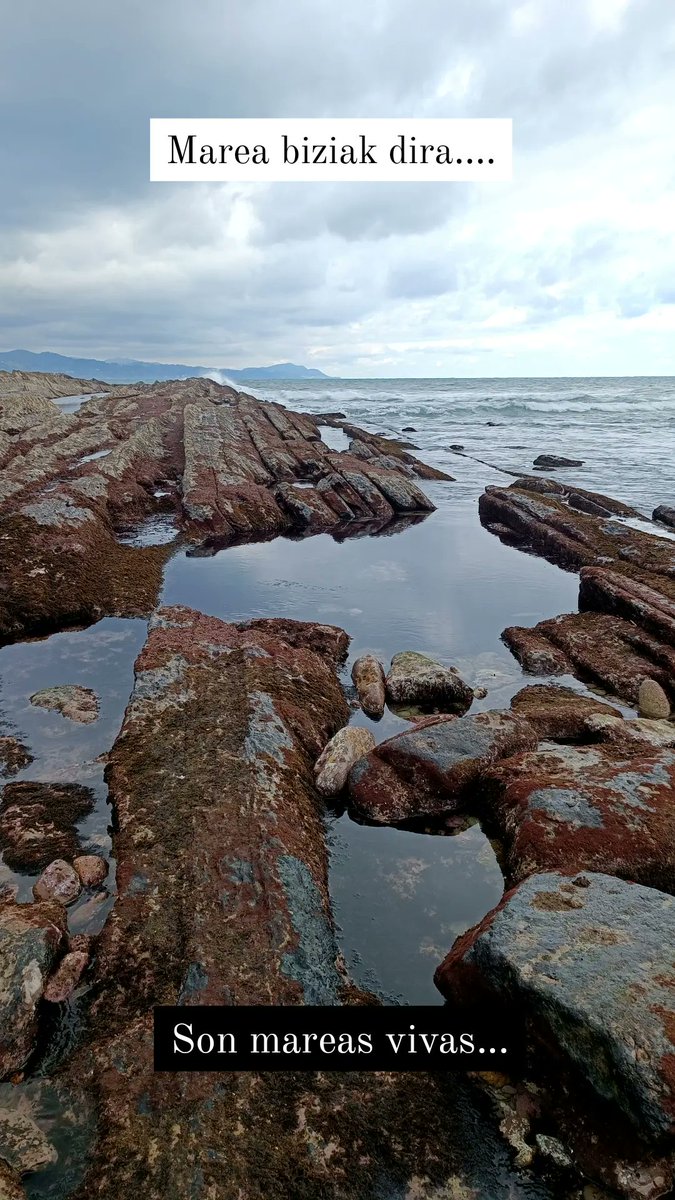 AlgorriZumaia's tweet photo. #mareabiziak #Algorri #Zumaia #Algorrizentroa https://t.co/yVQJqvJGYD