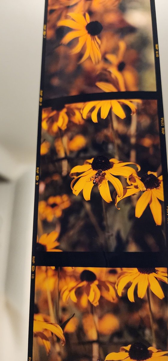 NegativeGrain's tweet photo. Back developing film again. #kodakfilm #film #slidefilm https://t.co/5WRPt54vbk