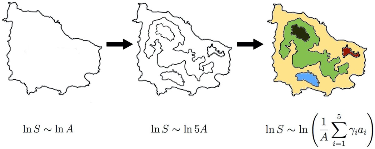 Island size isn't the only factor influencing biodiversity. A new study compared models adjusting for island age, habitat diversity, &amp; resource availability on five hotspot archipelagos, finding that direct measures were best.

doi.org/10.1111/jbi.14…
