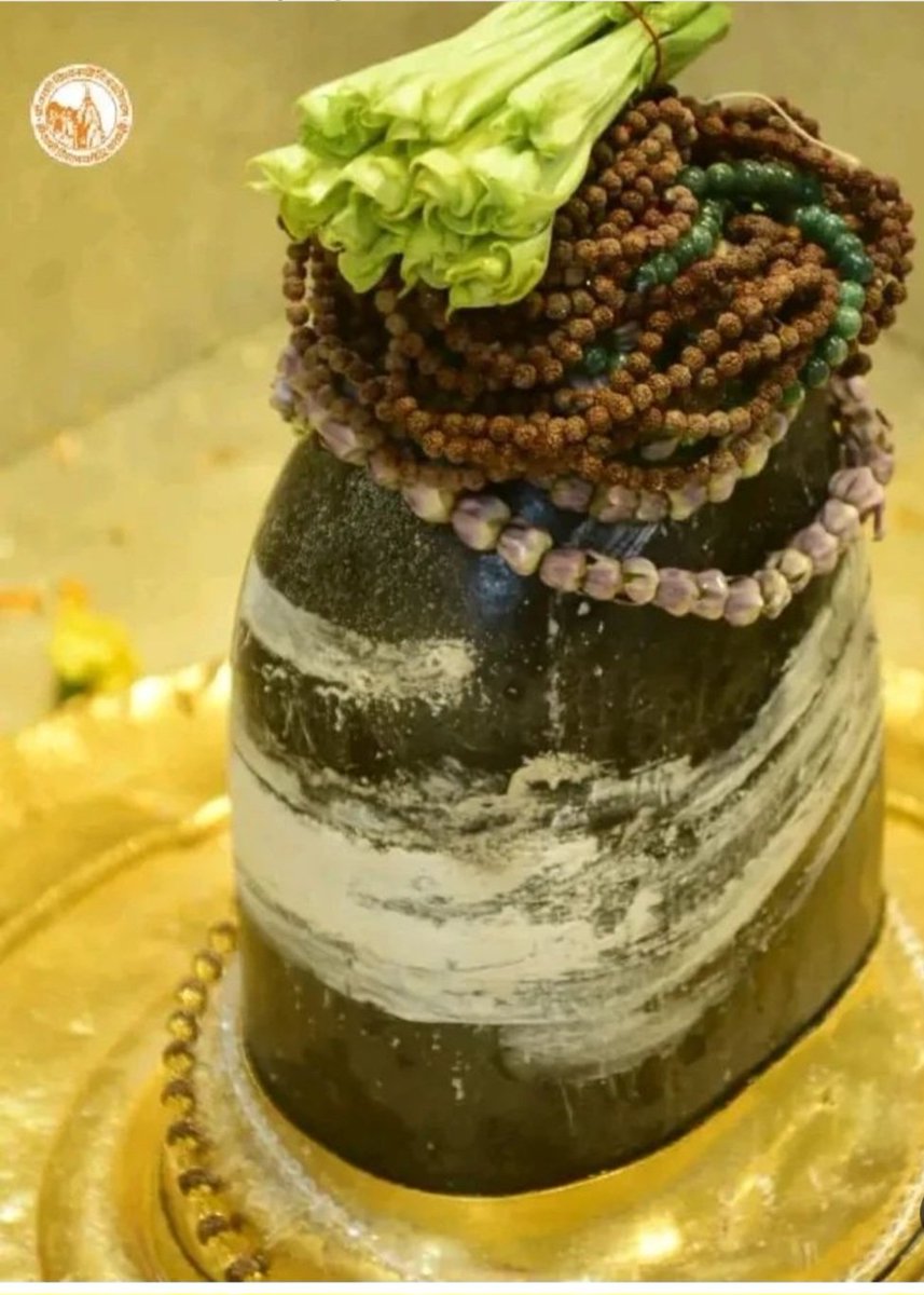 ranjana_tweets's tweet photo. Devotees of Mahakaal celebrate MahaShivratri throughout the year. 😇 #jaimahakal 🙏 #omnamahshivaya #HarHarMahadev #mahakal #Mahakaleshwar #LordShiva #Shiva #HarHarMahadevॐ #devotiona #omnamahshivay #harharshambhu #Shiv #bholenath #devotional #kedarnath #Somnath #kashiviswanath https://t.co/zaPzZZO2U8
