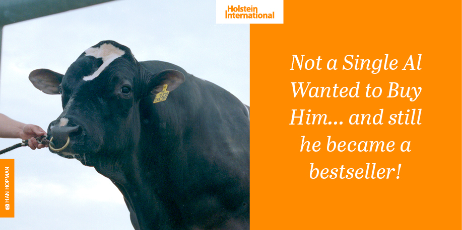 Holstein International tweet media