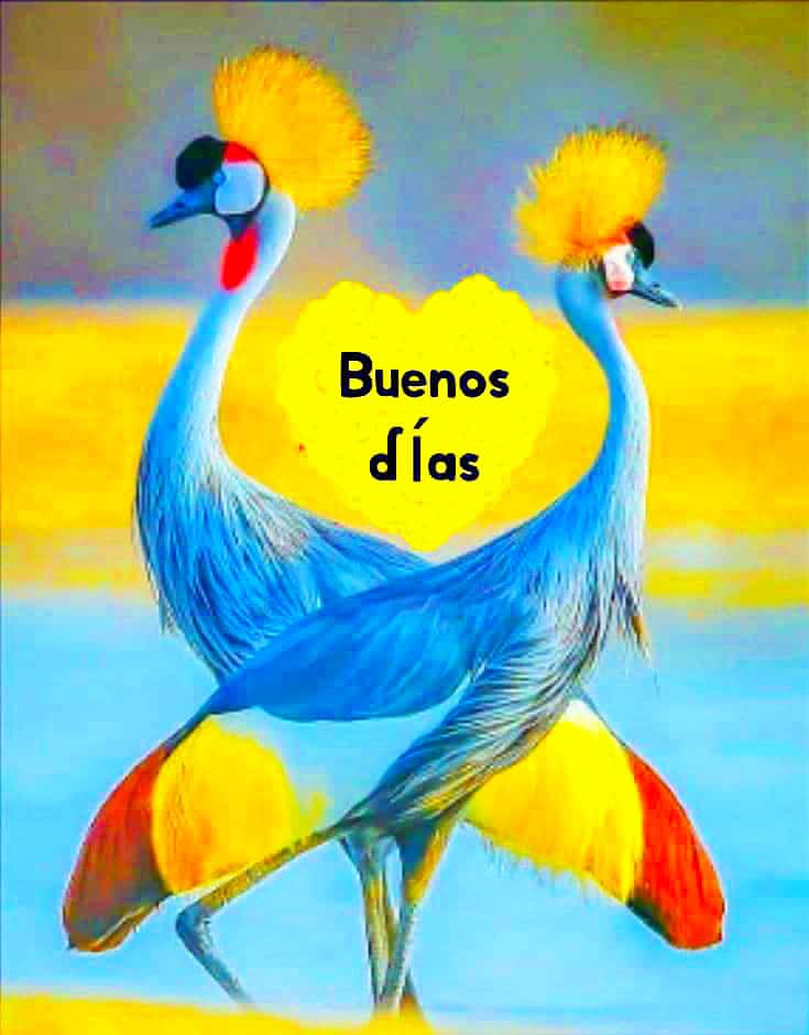 #VzlaViveElCarnval 🇻🇪con la bendición de Dios 🙏
@Damaris13510183 
@828Berrio 
@MagalysRojas5 
@magopuki 
@yulian_amor 
@argomez22 
@Lisbeth14246581
@RamnZERPA13 
@skamburdora 
@johelbarret5 
@nanunsc2