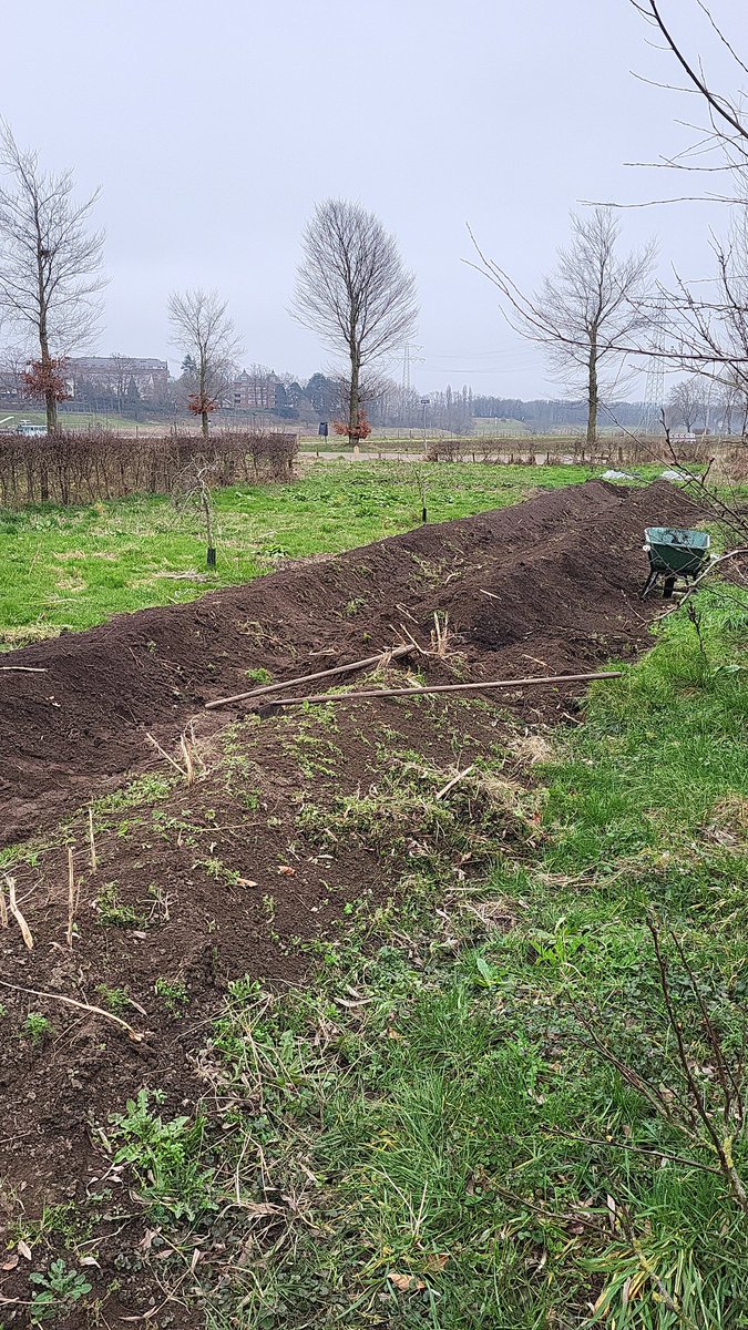 JlpvanRhee's tweet photo. #bio en #ecologisch made by hand,ellike maeter is der eine,#grenzeloos bezig.#asperges oet eige #tuin. https://t.co/DHrDebyuXa