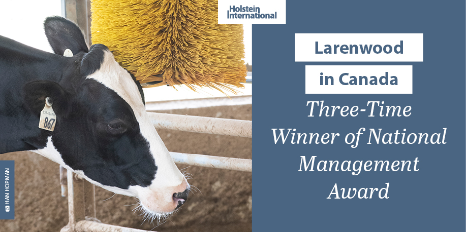 Holstein International tweet media