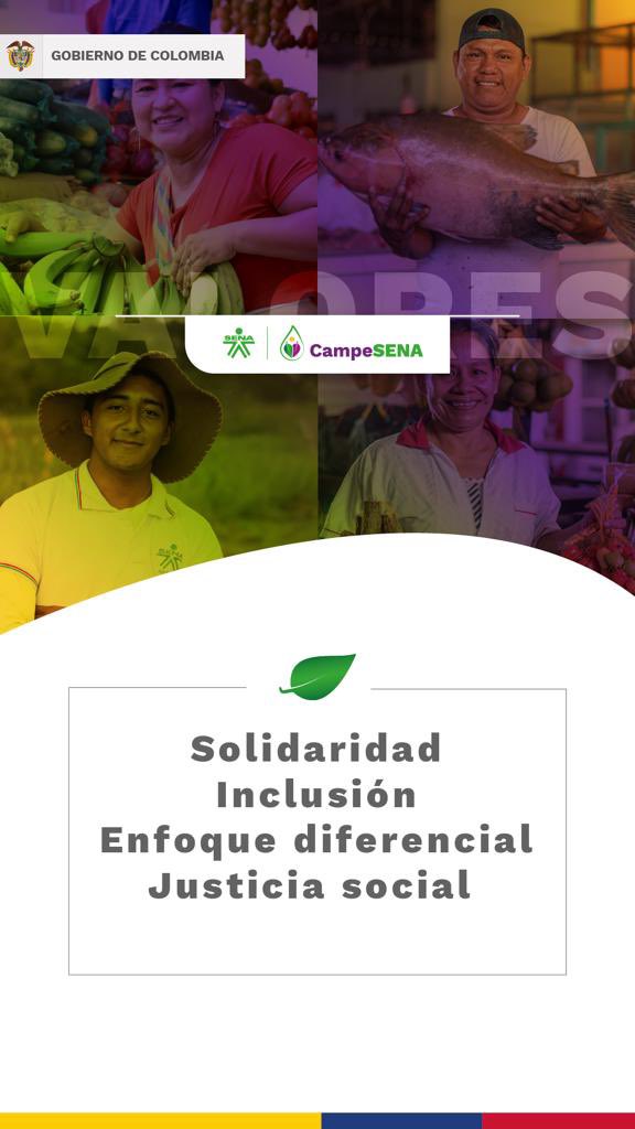 Leonora Barragán tweet media