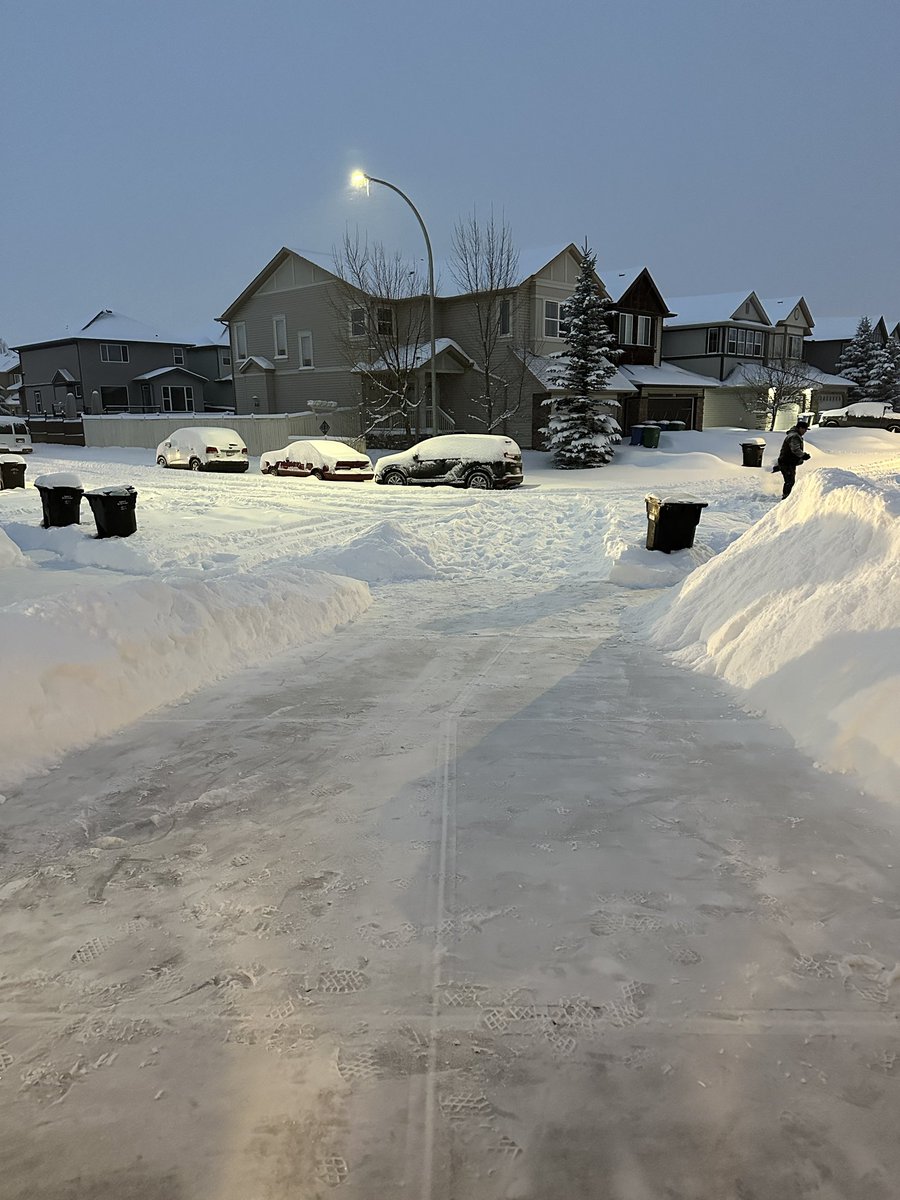 Nat Miletic tweet media