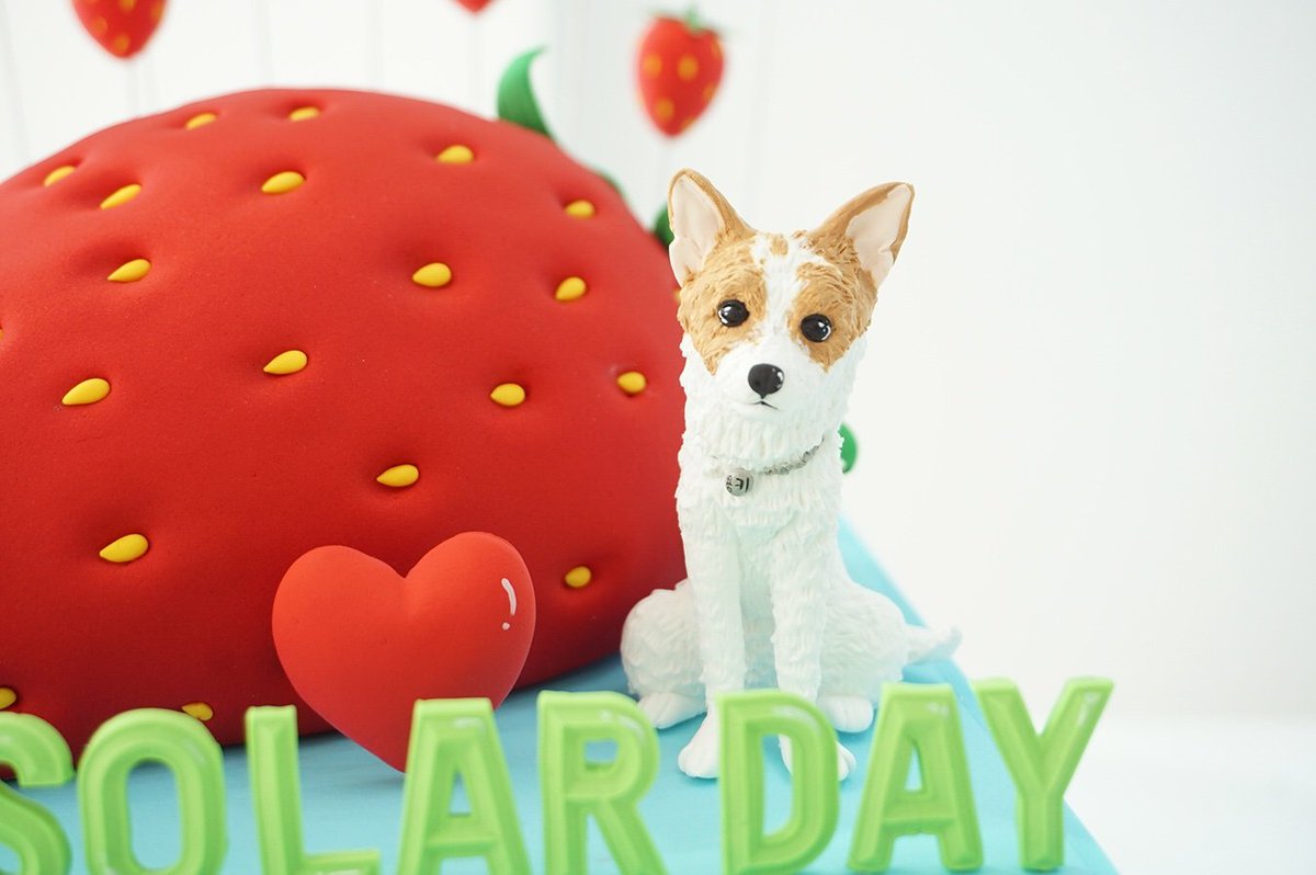 MAMAMOO_swfs4's tweet photo. MOOMOO'S から今年もMAMAMOOの愛するリーダー
SOLARにケーキサポートを
しま���た🎂愛をこめて💙
2023.02.21.
생일 축하해♡용선🐰사랑한우💛
HAPPY SOLARDAY☀️
#OurDazzlingPrideSolar
#내사랑은영원해_용선아_생일축하
#よんそん生誕祭
#Solar #솔라 #ソラ 
#yongsun #용선 #よんそん
@RBW_MAMAMOO https://t.co/py40MNK0Yh