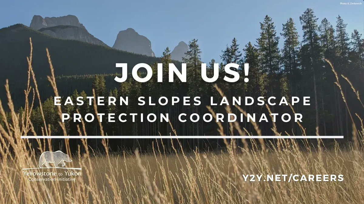 Y2Y seeks a part-time eastern slopes (Alberta and Montana) landscape protection coordinator to build relationships and implement strategies for Y2Y to effectively support Indigenous communities in advancing Indigenous-led conservation initiatives. Details: y2y.net/about/vision-m…