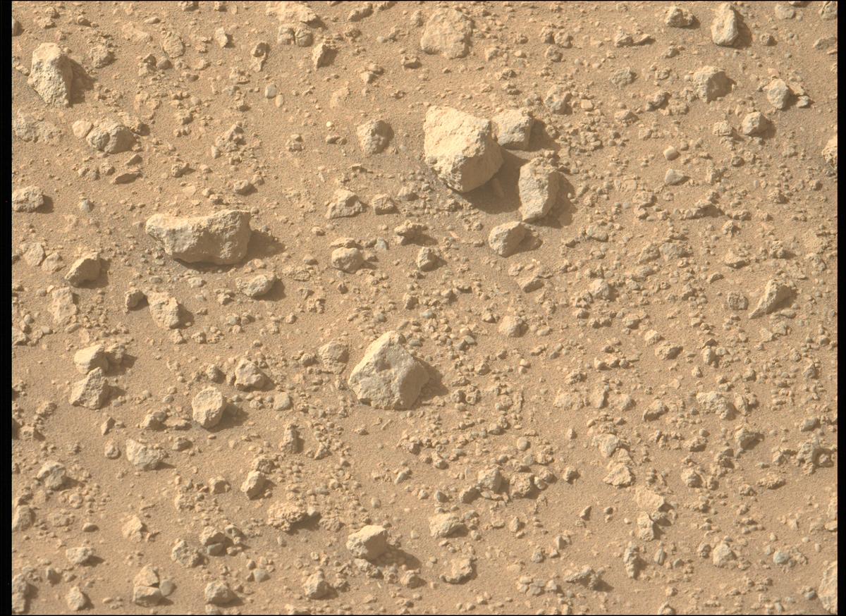 MarsMissionImgs's tweet photo. #PerseveranceRover image taken on #Sol700 at 3:40:13.637 PM with #MastcamZ #Mars #NASA #Space https://t.co/MlPoX7gBEq
