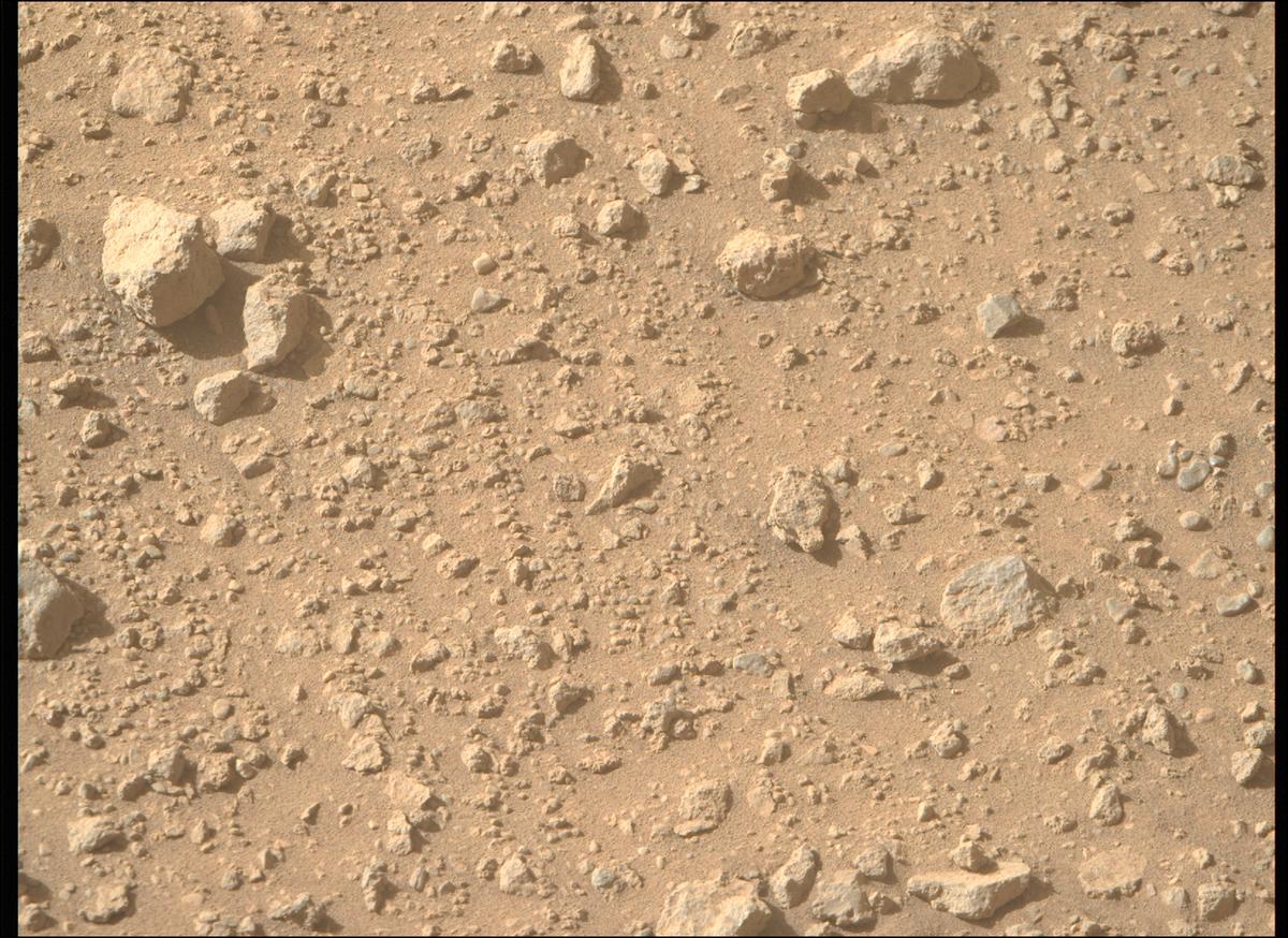 MarsMissionImgs's tweet photo. #PerseveranceRover image taken on #Sol700 at 3:40:13.637 PM with #MastcamZ #Mars #NASA #Space https://t.co/MlPoX7gBEq