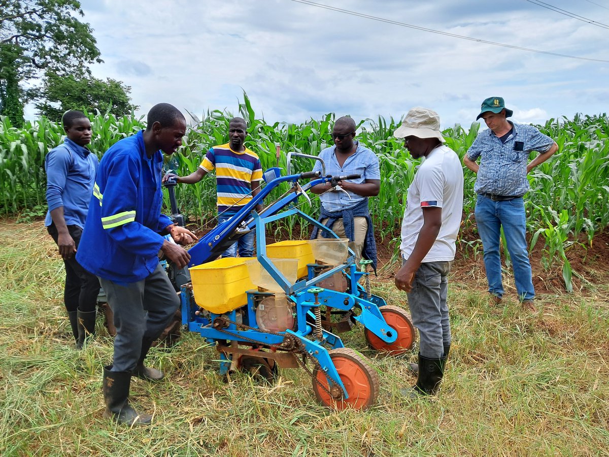 Today we recognize #youth in agriculture. Youth in the #OneCGIAR Regional initiative, Ukama Ustawi are doing remarkably well in improving household food and nutrition security. The strategy: sustainable intensification @BusyBeeChris @Inga_JM @CIMMYT @IWMI_ @Sieg_SAS @bramaccimmyt