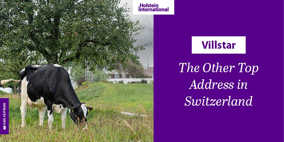 Holstein International tweet media