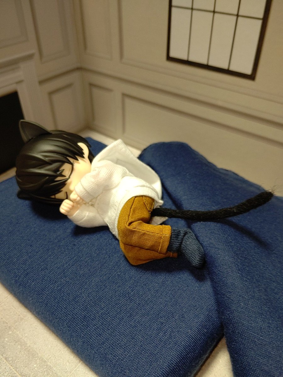 🐈‍⬛🐾🐾🐾🍒🌃🪄✨☺️