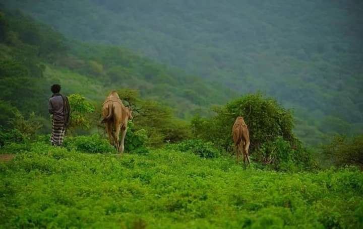 lahadda88's tweet photo. #Afar #Konnaba ...,2/2 I'll add more picture ⚔️ https://t.co/YvBnVB6B3p