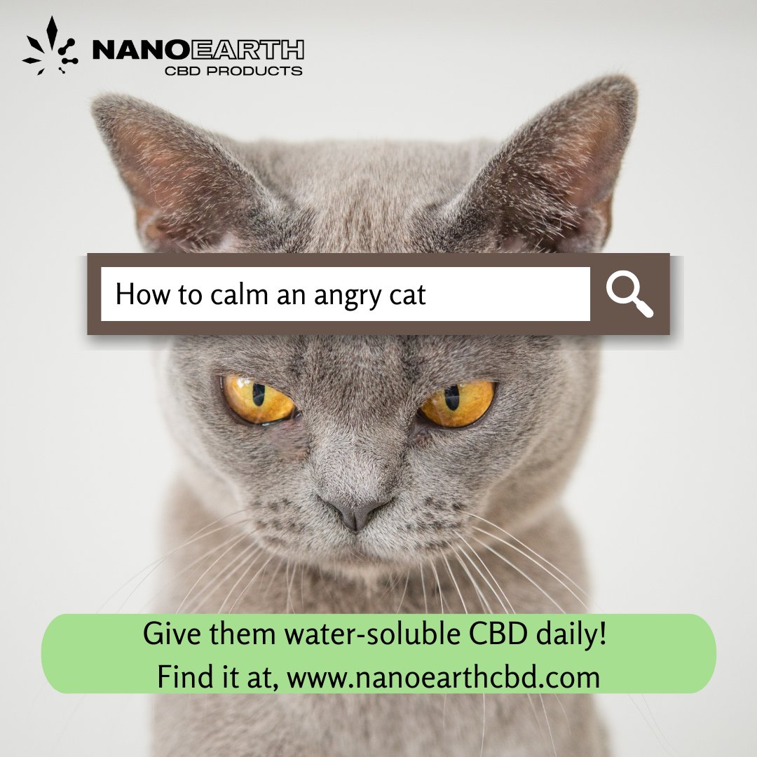 Our Water-Soluble Pet Enhancer is the purrfect addition to your pet's daily routine.

#cbdwatersolubles #cbdenhancer #cbdstress #cbdanxiety #cbdlife
#cbdproducts #cbdhealth #cbdcat #catlovers #tuesdaymotivation #petcare #petwellness #petcbd #purrpurrpurr #purrfect #catmood