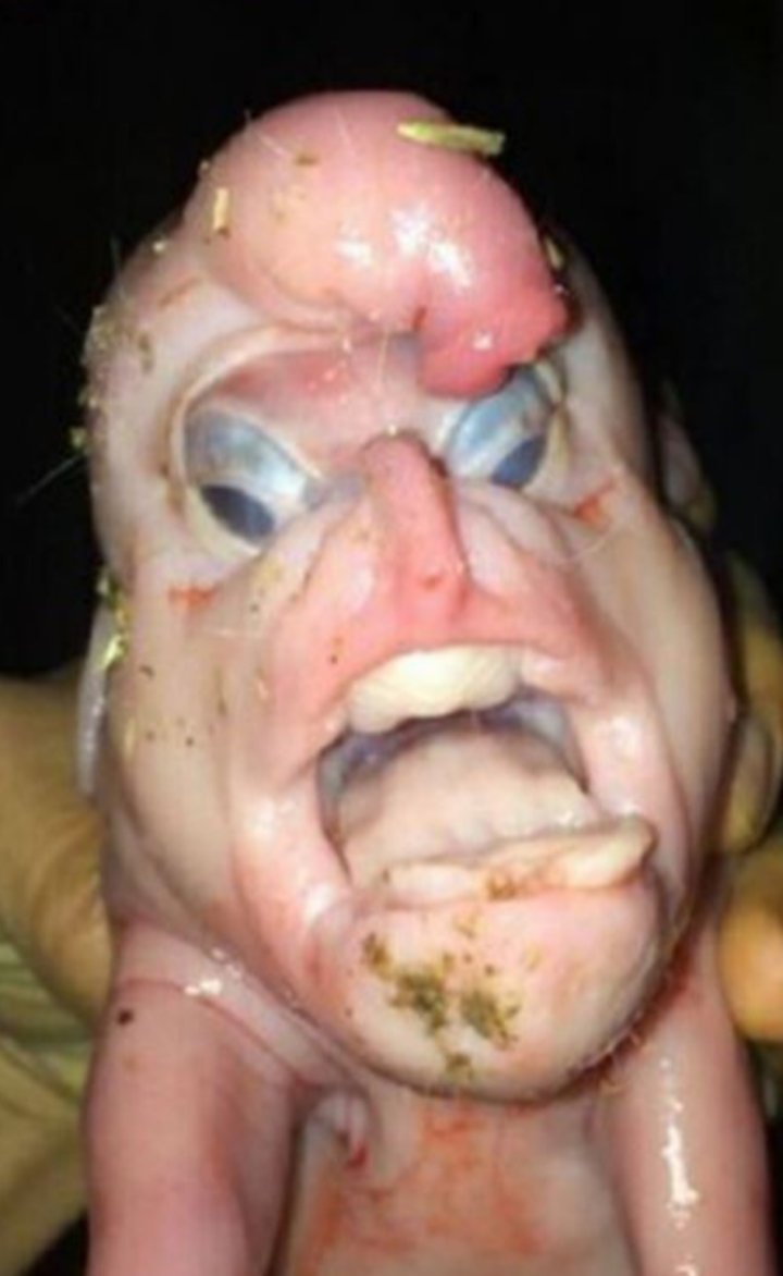 Anonima40801111's tweet photo. @tacoproxyz @Dibujosmuyfeos @UnaAlienada La Alienada real está re fea https://t.co/GivYezeHwH