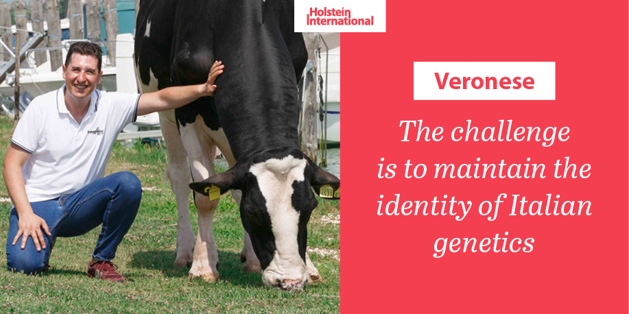 Holstein International tweet media