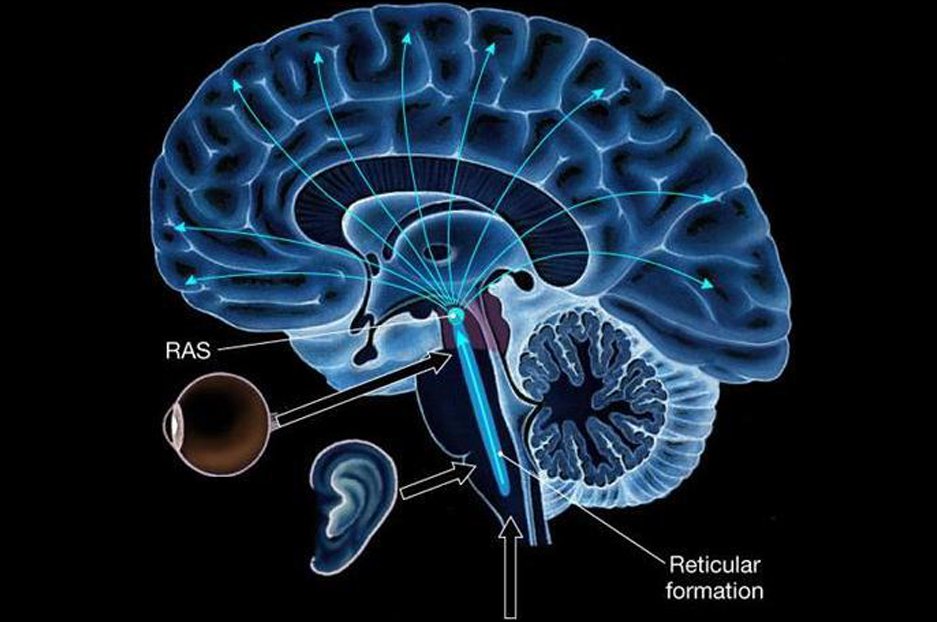 There's a part of our brain called the Reticular Activating System (RAS
