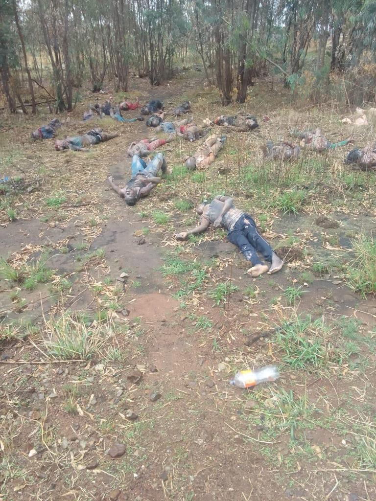 WamaraBiona's tweet photo. Voilà le sort réservé aux récalcitrants d'hier à Kitshanga, depuis que nos forces loyalistes (FARDC) ont récupérée cette contrée. Vive les FARDC ! Vive la RDC🇨🇩 ! Et Vive Fatshi Béton !

Ils subiront encore plus d'avantages s'ils en veulent toujours...💪💪 https://t.co/4y2OIDTPKd