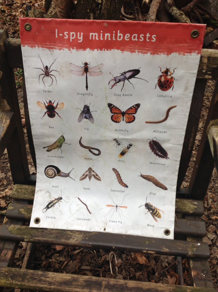 BGS_LowerSch's tweet photo. When in outdoor learning reception went hunting for minibeasts #BGS_Reception #collaboration https://t.co/pE4xaWYTEC