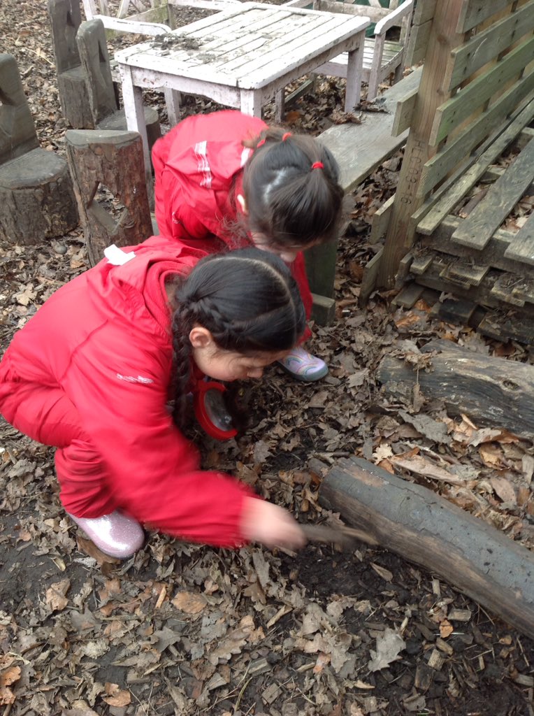 BGS_LowerSch's tweet photo. When in outdoor learning reception went hunting for minibeasts #BGS_Reception #collaboration https://t.co/pE4xaWYTEC