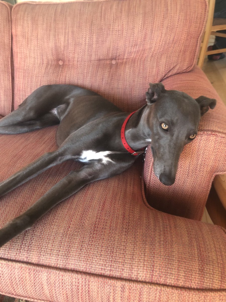 Rosaline VandeWeyer tweet media