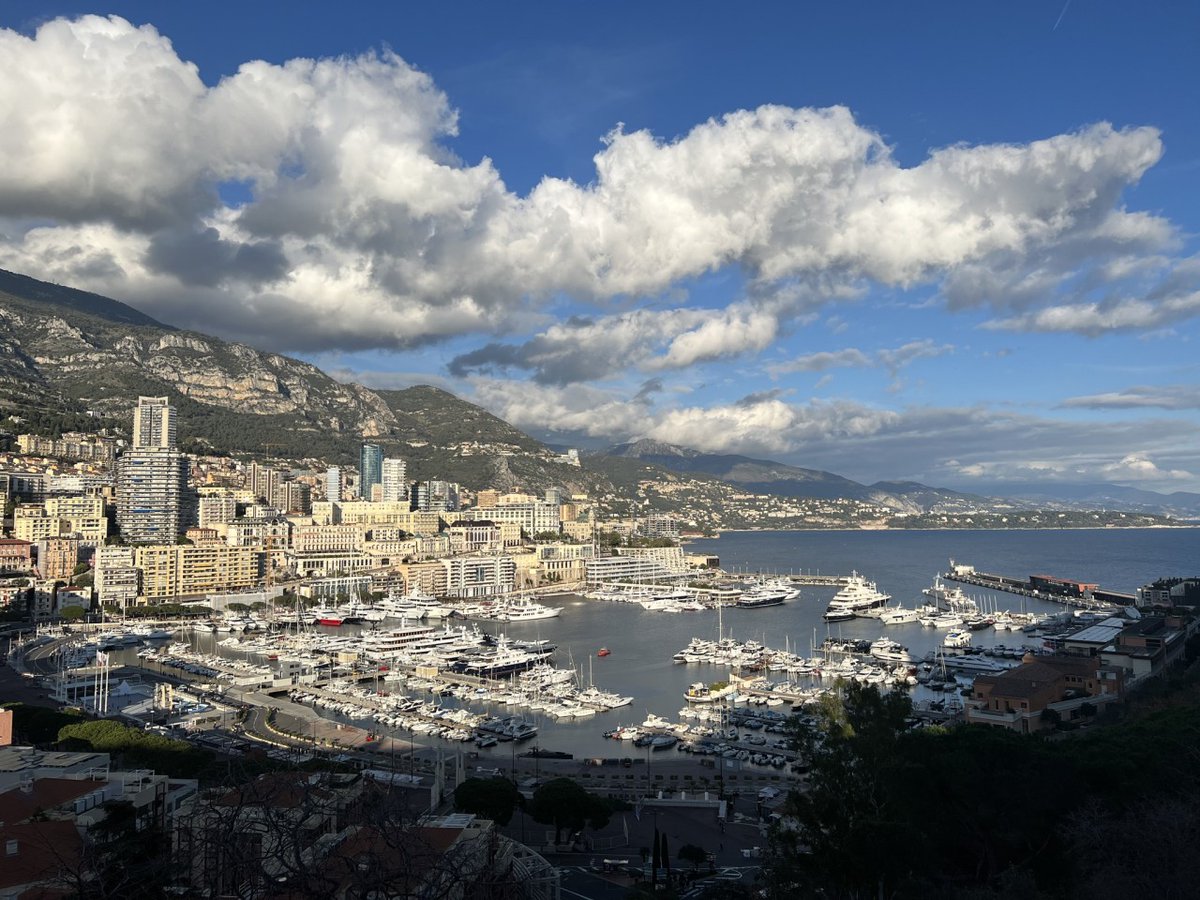 NortheasternGEO's tweet photo. One of our Spring 2023 fellows got to take a day trip to Monte-Carlo, Monaco where they saw the Heritage Trees Trail at the Little Africa Gardens. We can't wait to see all the other beautiful places they explore this semester!

📸: @michael_nessralla https://t.co/24oNTSmIyY