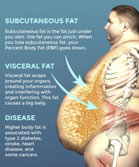 Believing These 7 Myths Prevents 99 Of Men From Losing Their Belly Fat believing-these-7-myths-prevents-99-of-men-from-losing-their-belly-fat