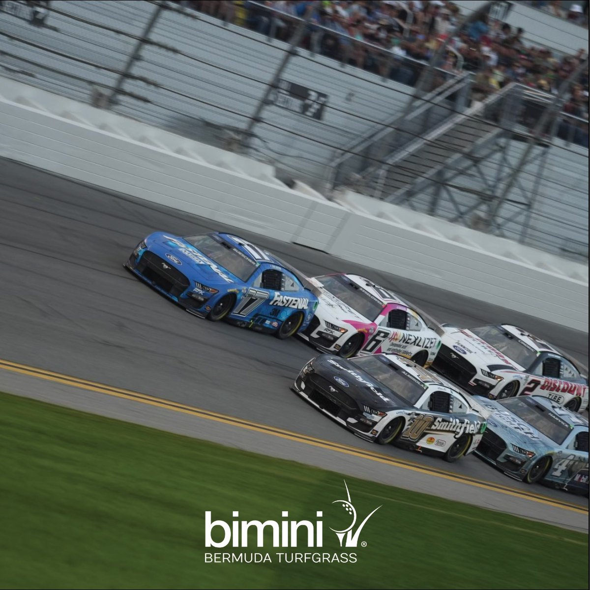 BethelFarms's tweet photo. Have the same grass as the pro’s in your lawn. Call us about Bimini Bermuda, 863-494-3057. 

#biminibermuda #americasmostrsesilientsportsgrass #daytona500 #infield https://t.co/VVGiJjFotL