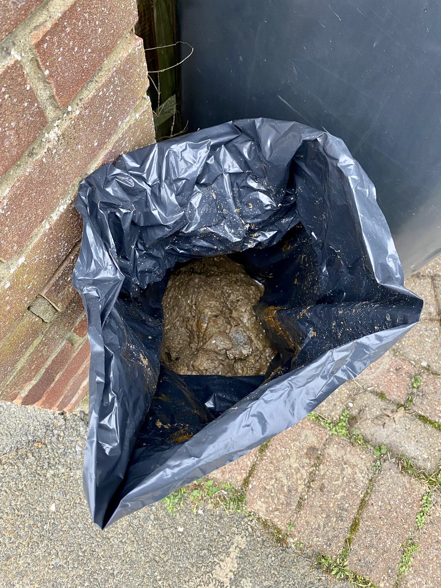 Nick Ronin tweet media