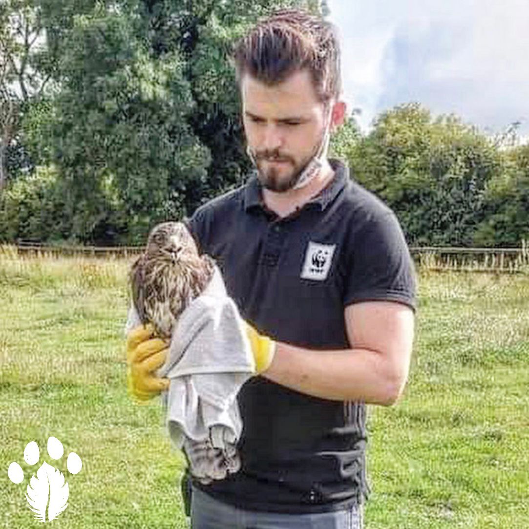 Kildare Wildlife Rescue on Twitter "Internship 2023 We are delighted