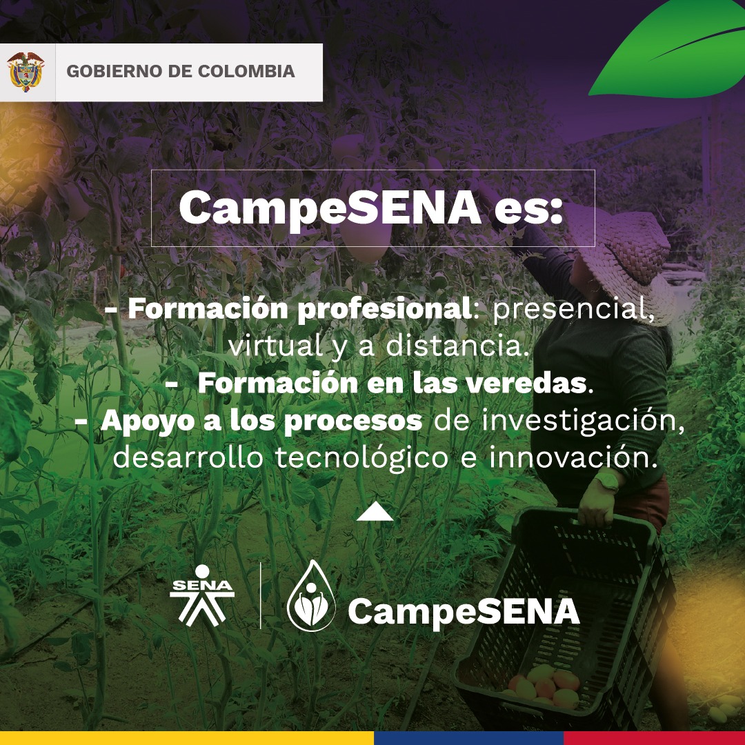 SENAPutumayo's tweet photo. 🌱#CampeSENA es formación sin barreras y contribuye a que Colombia se consolide como 'Potencia mundial de la vida'. https://t.co/39yetaH3CD