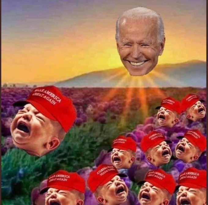 beneaththerose's tweet photo. @DonaldJTrumpJr TRUMP LOST GET OVER IT! #BasedBiden #PresidentsDay https://t.co/T8RplMatA4