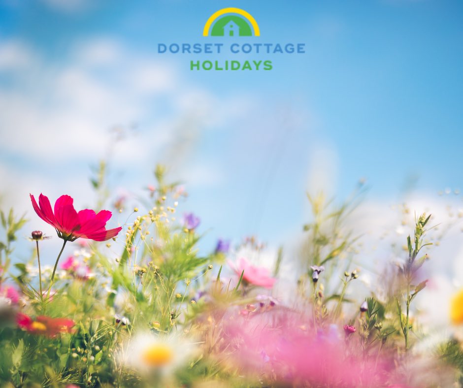 Check out our cottages for Easter break 🌸🐰🐣 

dhcottages.co.uk/holiday-cottag…