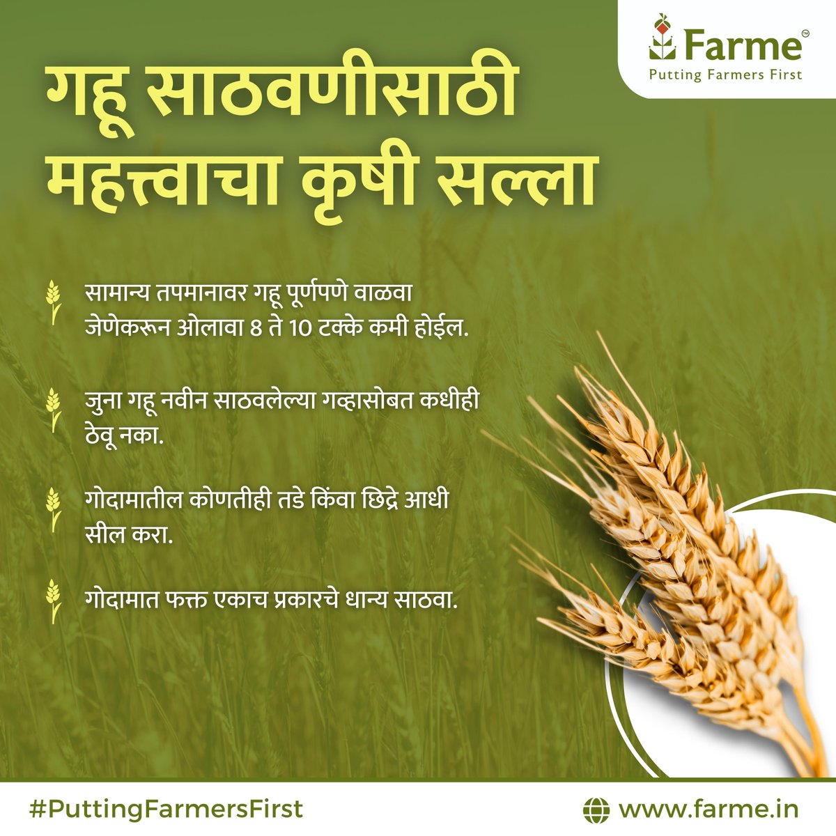 farmeofficial's tweet photo. गव्हाचे बियाणे जर चांगल्या प्रकारचे असेल तर उत्पादनही भरघोस मिळते.
गव्हाचे साठवण करून ठेवणे, त्याची रोग व कीड पासून काळजी घेण्यासाठी Farme सुचवतोय वरील उपाय. 
.
अश्याच पिकांच्या माहिती साठी फॉलो करा Farme ला.
.
#puttingfarmersfirst #wheat #wheatstorage  #grainstorage #pesticide https://t.co/eWtVyIxO7i