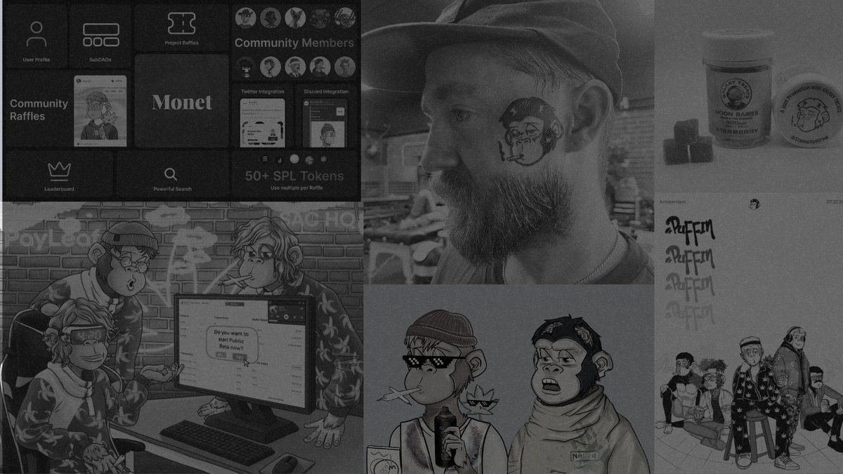 How <a href="/StonedApeCrew/">Stoned Ape Crew</a> became the #1 web3 cannabis brand: