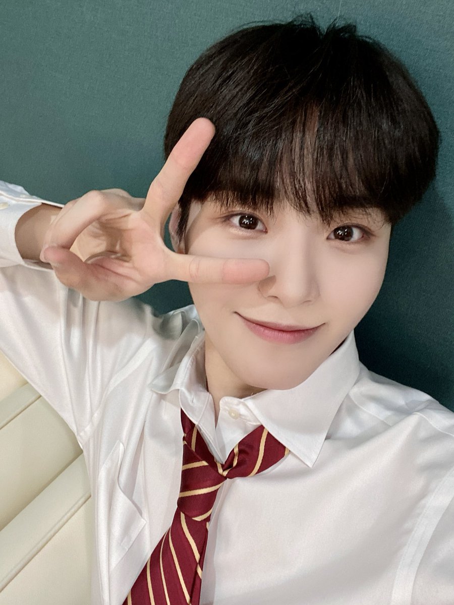 Dear825_'s tweet photo. 아기버섯 너무 잘컷더요 https://t.co/fOi3sTuC8H