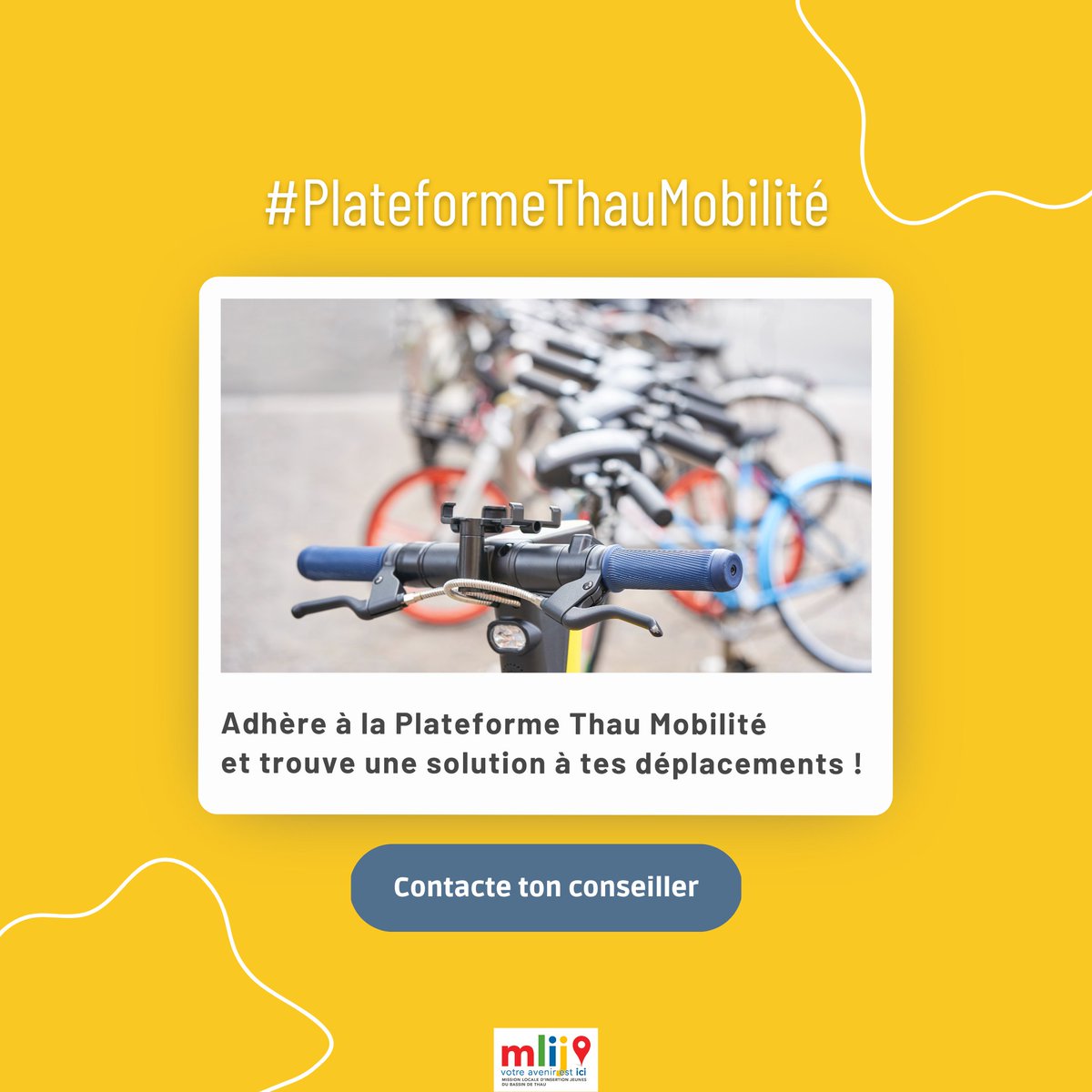 MLIJ Bassin de Thau tweet media